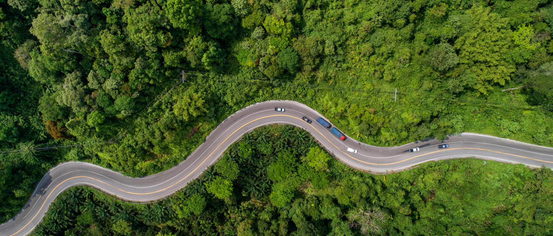 Aerial view of road winding through lush green forest