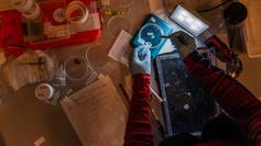 Charlotte Havermans researcher from Alfred-Wegener-Institute prepares a jellyfish caught in the harbour of Ny-Ålesund for further investigation in the marine lab.