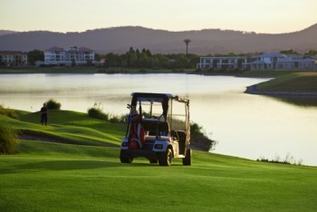 battery business, golf cart battery