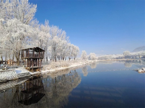 北庄雪景