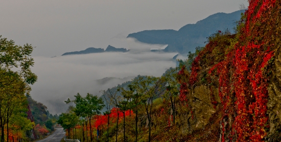 司营子村