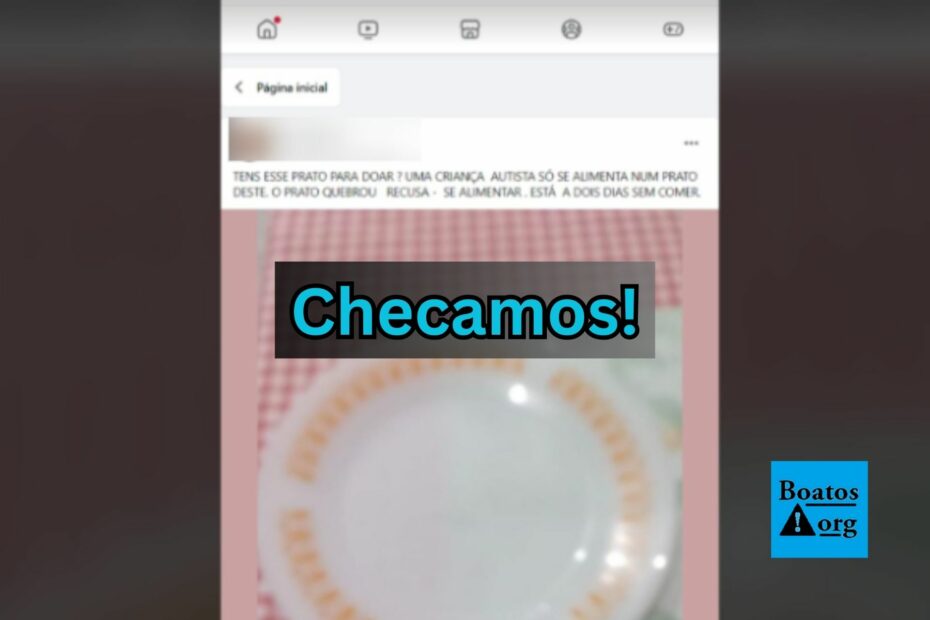 Criança autista precisa de prato Termo Rey para se alimentar, diz boato (Foto: Reprodução/Facebook)