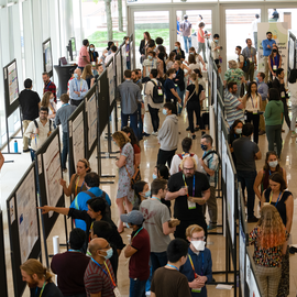 Broadies at the Poster Connect day, looking at posters