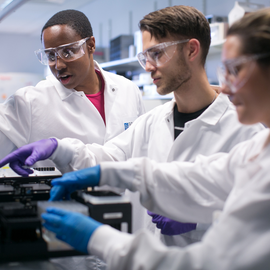 Careers - Broadies working in a lab