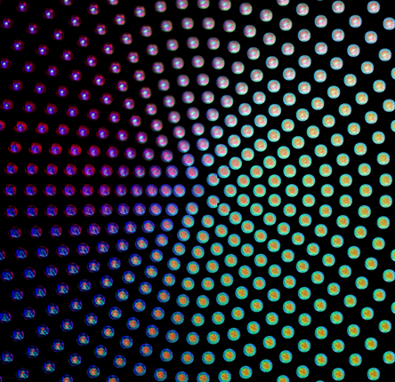 This visualization illustrates the morphological variation of the BBC021 dataset