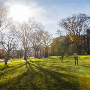 Campus in sunlight