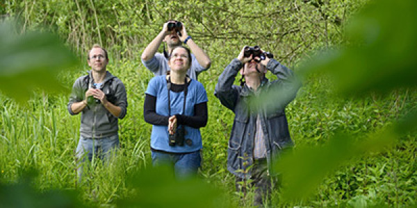 BTO Volunteers