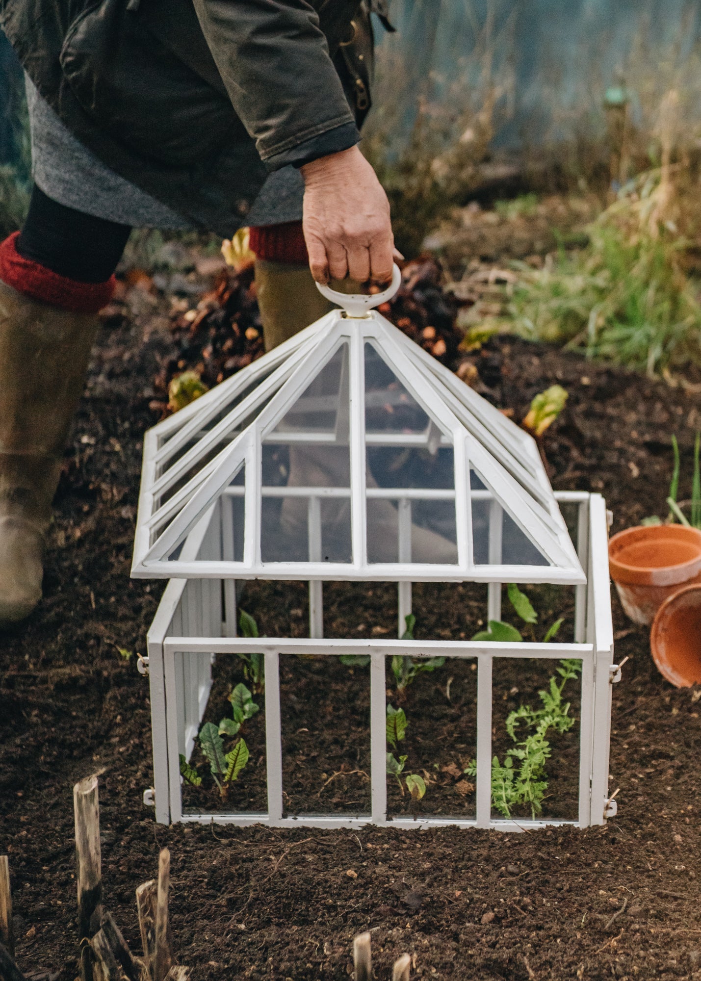 All Gardening