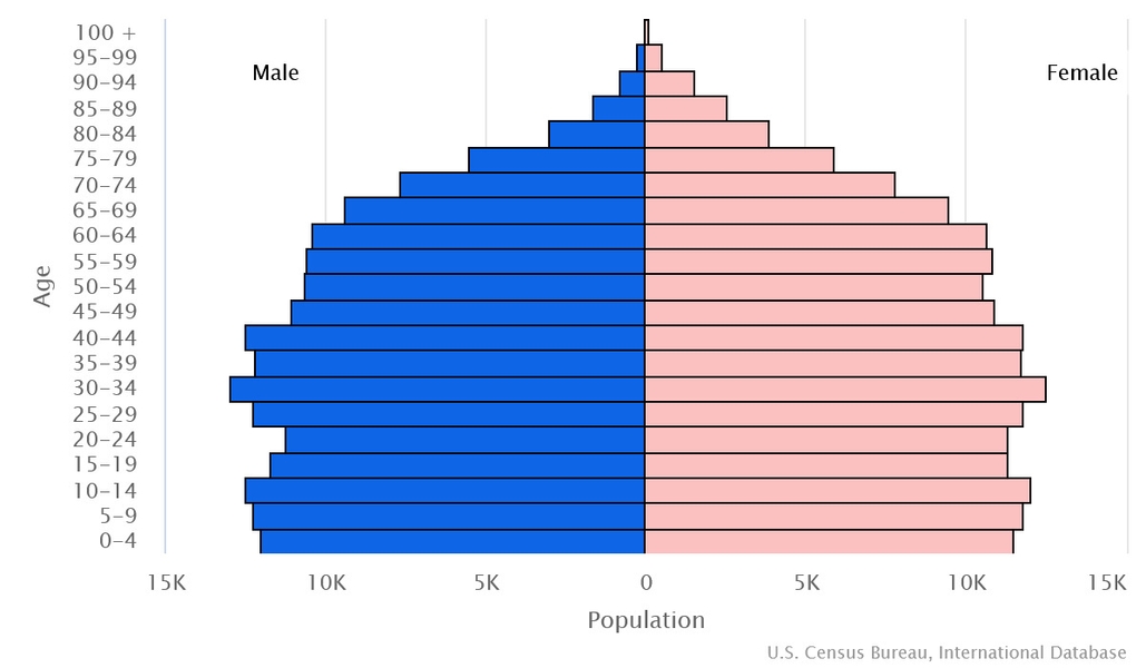 2023 population pyramid