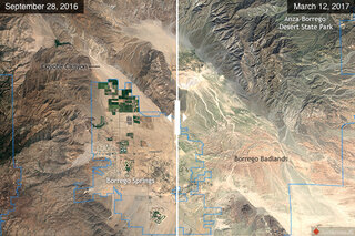 Thumbnail image for Tools & Interactives - Wildflower superbloom in California 2017