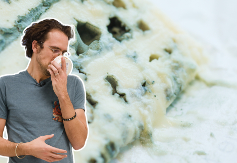 Maxime sent un camembert sur fond de roquefort