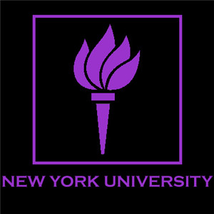 纽约大学New York University