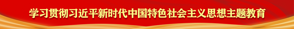 学习贯彻习近平新时代中国特色社会主义思想主题教育