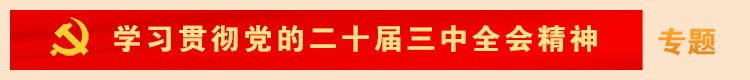 学习贯彻党的二十届三中全会精神