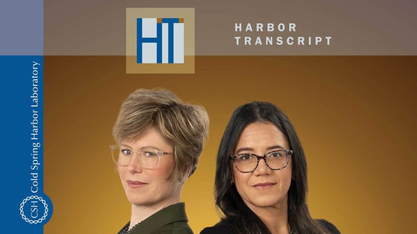 image of the Winter 2024 edition of the Harbor Transcript magazine cover