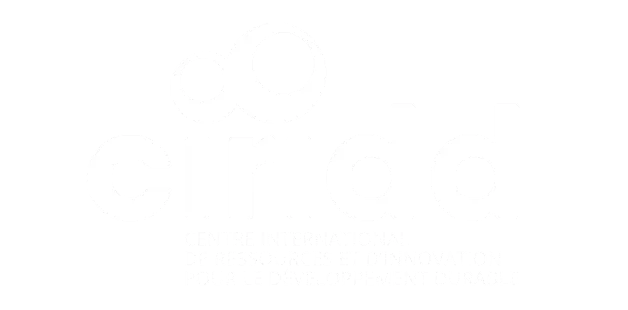 CIRIDD