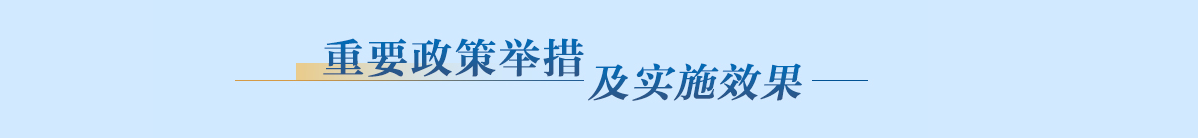 重要政策举措及实施效果