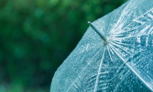 umbrella with water droplets