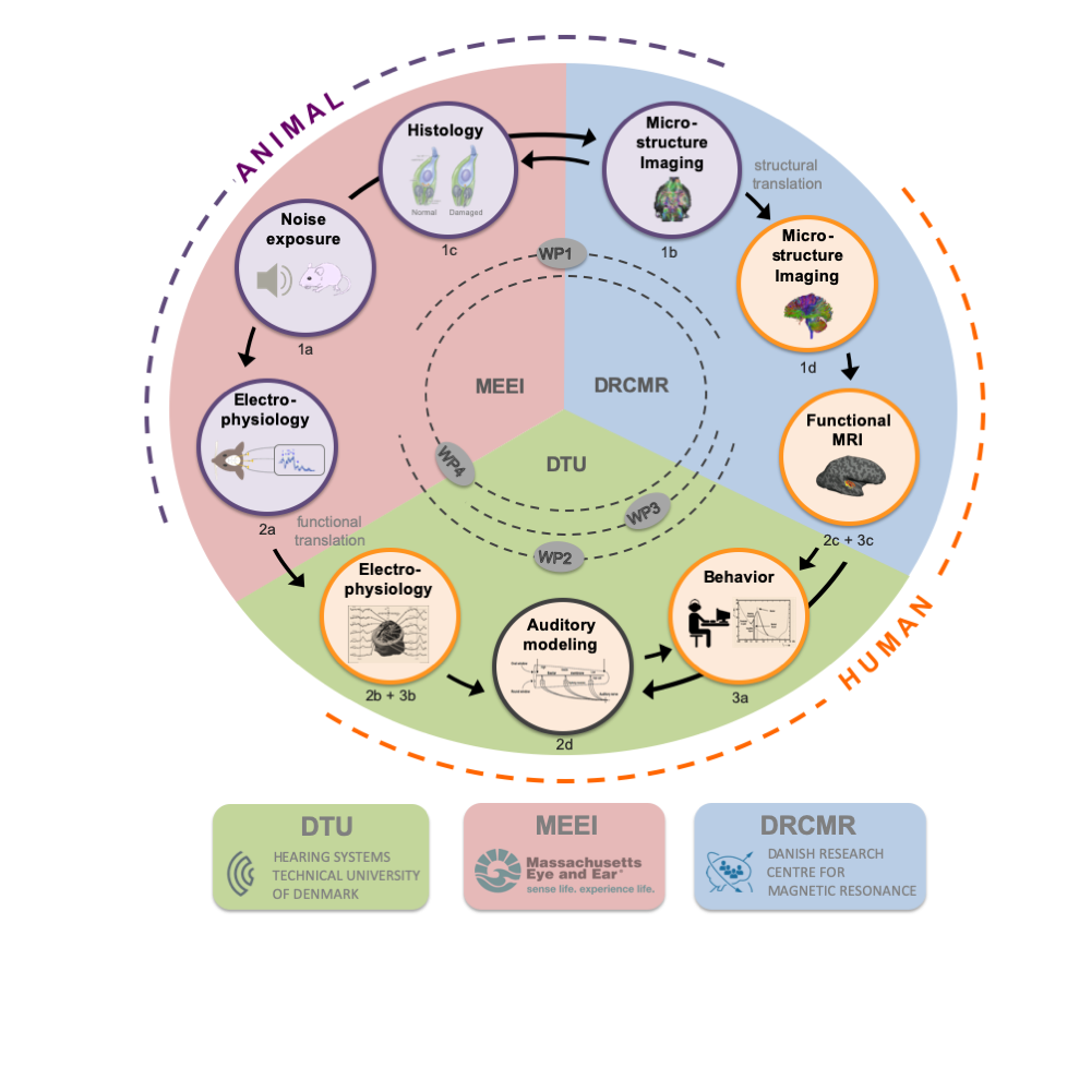 Novo Nordisk Foundation 22052019