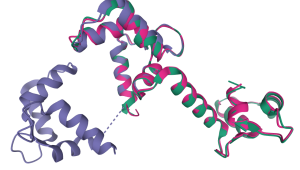 PDBeFold - identify structural homologues