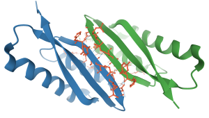 PDBePISA interfaces image PDBe