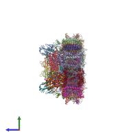 PDB entry 3jcu coloured by chain, side view.