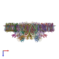 PDB entry 3jcu coloured by chain, top view.