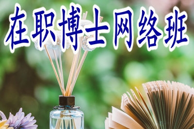 在职博士能否在网上学习？