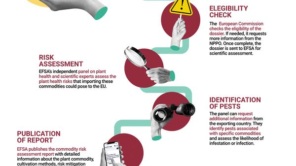 How the EU makes sure imported plants are safe