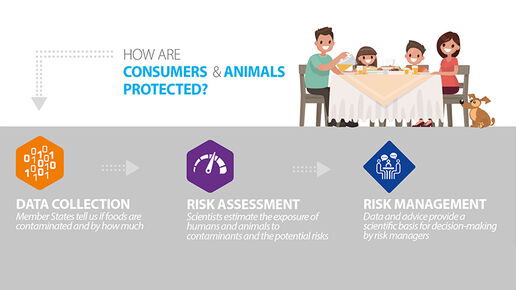 Chemical contaminants infographic