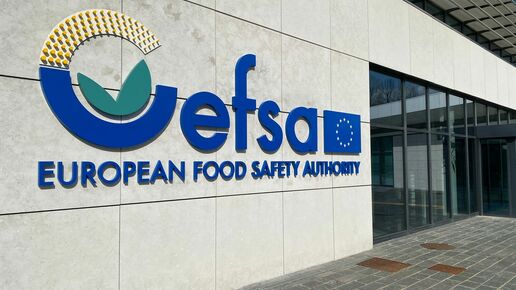 close up efsa building