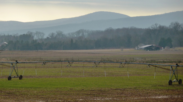 Photo of a crop irrigation system