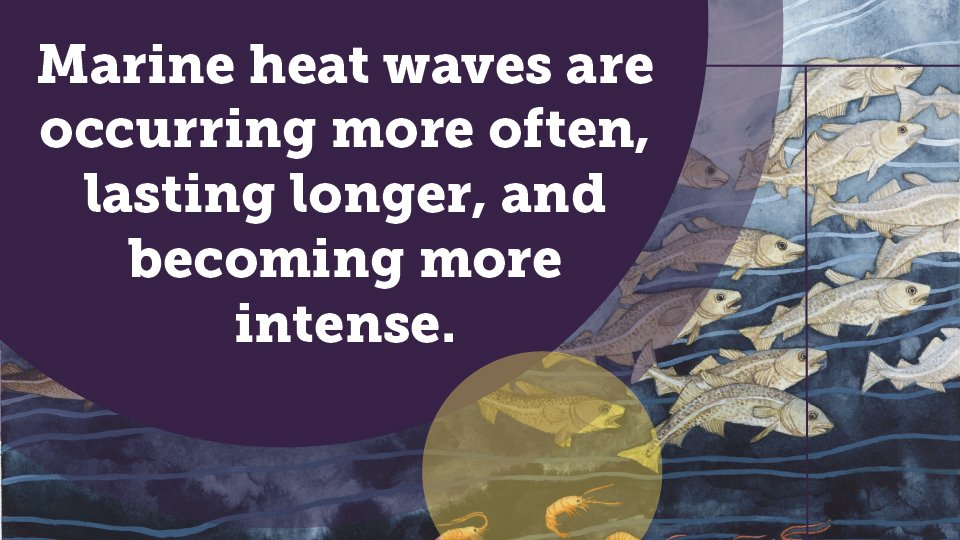 decorative circles with text that reads "Marine heat waves are occurring more often, lasting longer, and becoming more intense."
