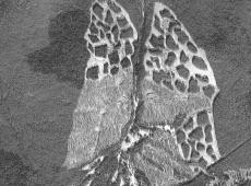 Aerial photo of experimental shelterwood harvests conducted in 1999 and 2000 in the Sun Creek sub-watershed of Tenderfoot Creek Experimental Forest.