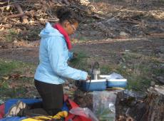 Measuring water potential