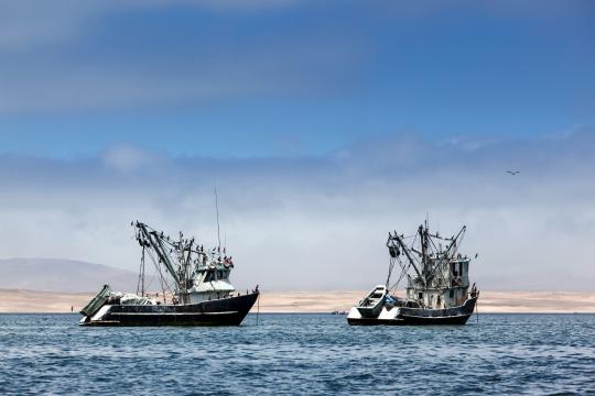 two fishing vessels