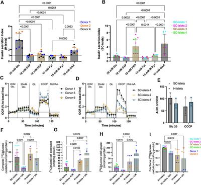 Cell identity dynamics and insight into insulin secretagogues when employing stem cell-derived islets for disease modeling