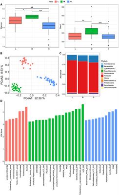 Survey of the fecal microbiota of indigenous small ruminants living in different areas of Guizhou