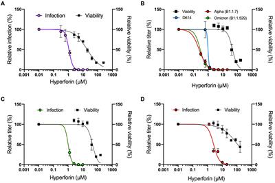 Hyperforin, the major metabolite of St. John’s wort, exhibits pan-coronavirus antiviral activity