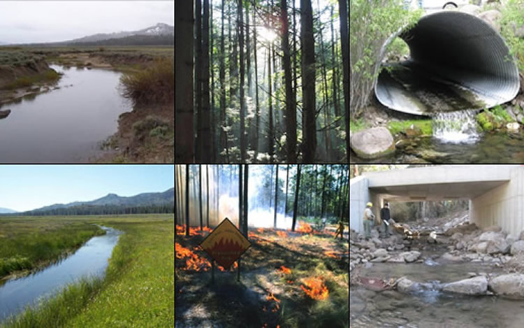 Six paired images showing three landscapes in before and after scenes, including a stream, forest, and road stream crossing.