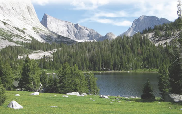 A mountain lake and forest scene.