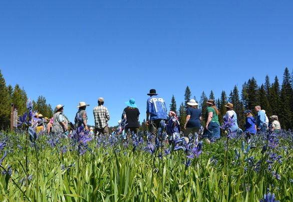 Purple flowers are in focus in the foreground. The background is slightly blurry with a group of people in a circle with their backs to the camera.