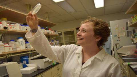 Wallace-Carver Fellowships