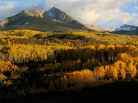 Aspen forest shifts from green to many shades of yellow and orange as fall arrives near McClure Pass, Colorado.
