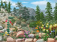 Klamath-Siskiyous Serpentines poster.