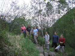 Botany Challenge 49 participants.