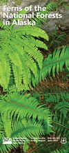 Ferns of the National Forests in Alaska brochure cover.