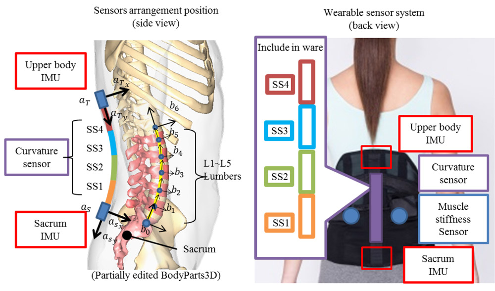 Sensor arrangement of the wearable sensor system