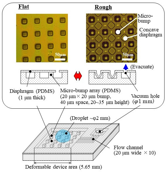 Soft skin device with deformable micro-diaphragm array