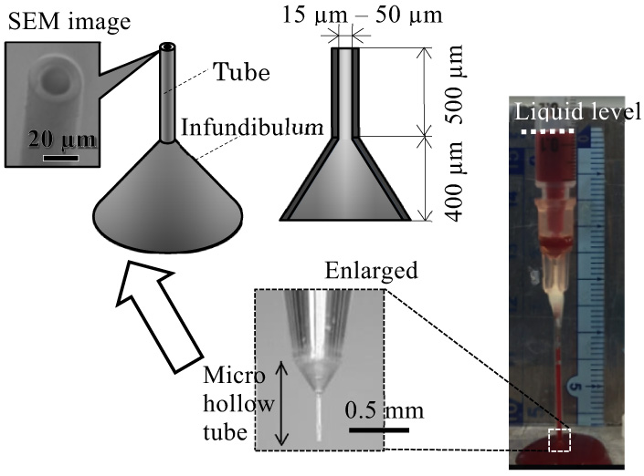 Microtube of 20 μm inner diameter collects 200 μL blood